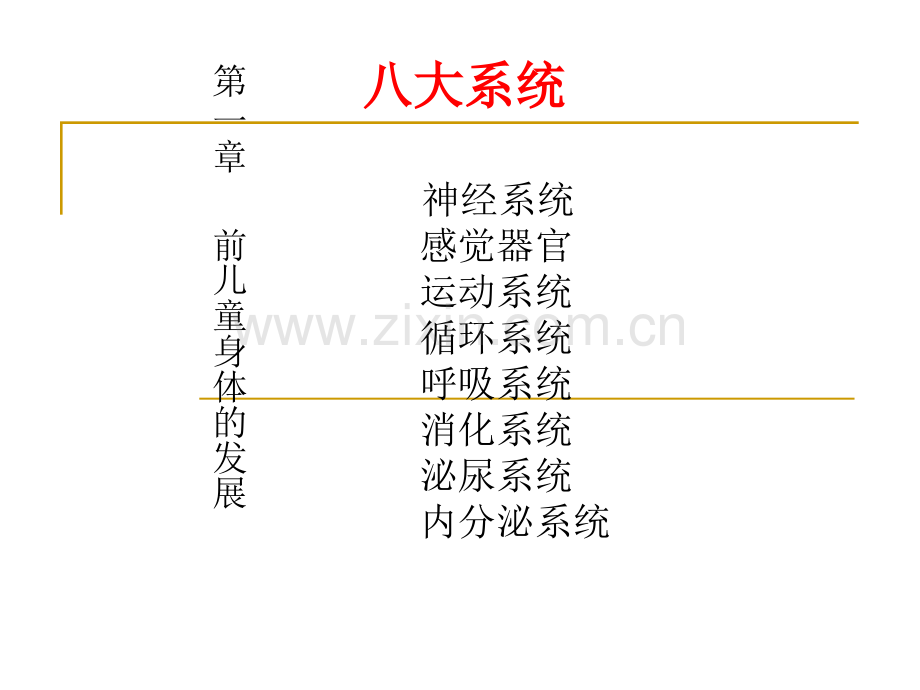 讲学前儿童身体的发展.ppt_第2页