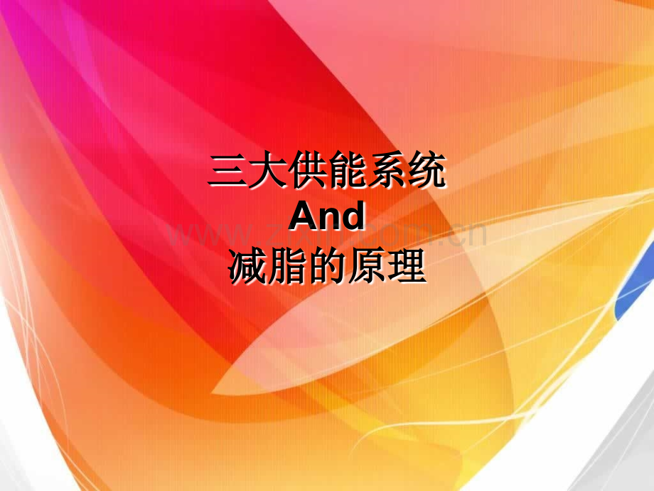 减脂的原理三大供能系统.ppt_第1页