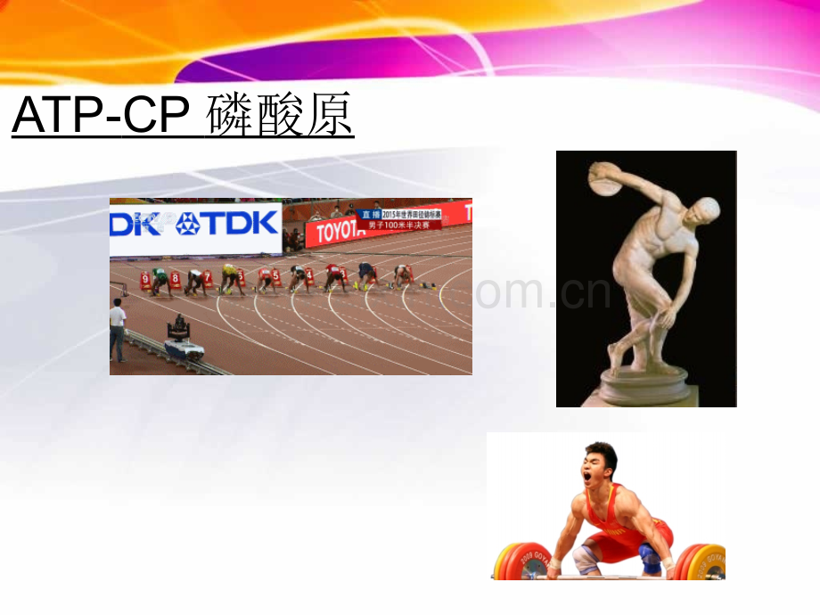 减脂的原理三大供能系统.ppt_第3页