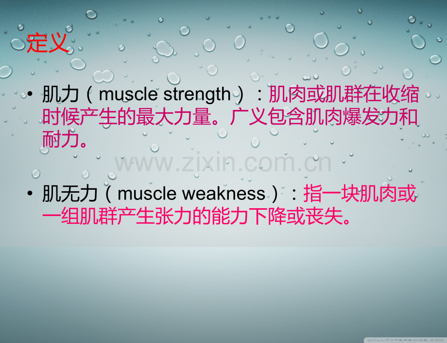 肌力评定与训练讲义.ppt_第2页