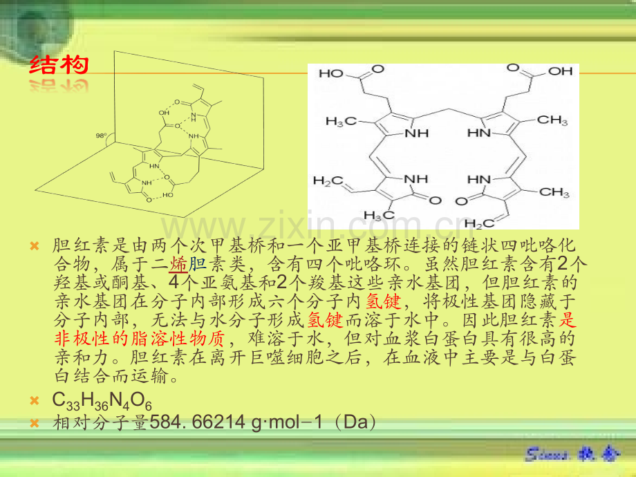 胆红素的生成代谢(供office07+版).pptx_第3页