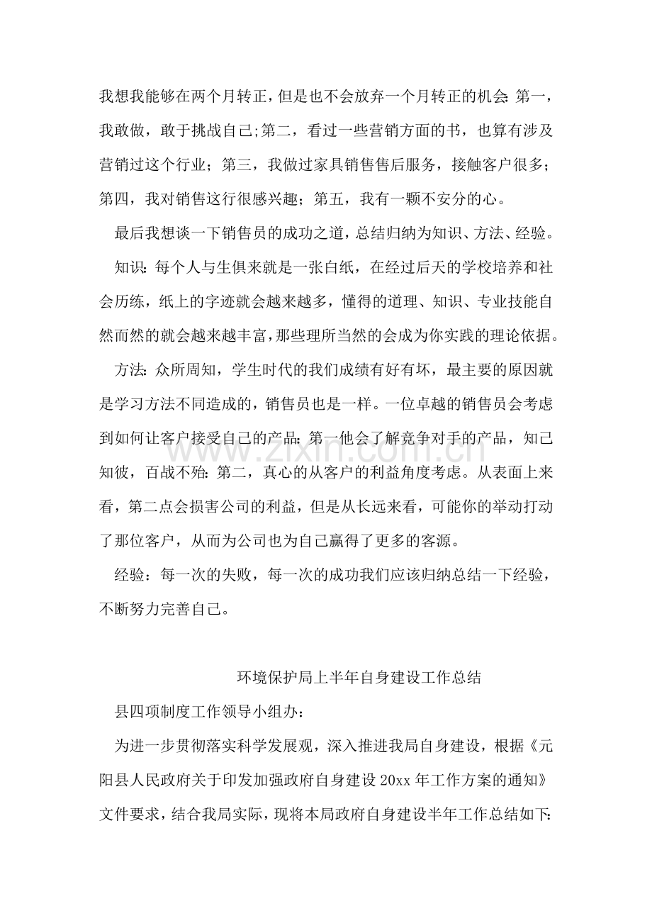 销售员个人半年工作总结.doc_第2页