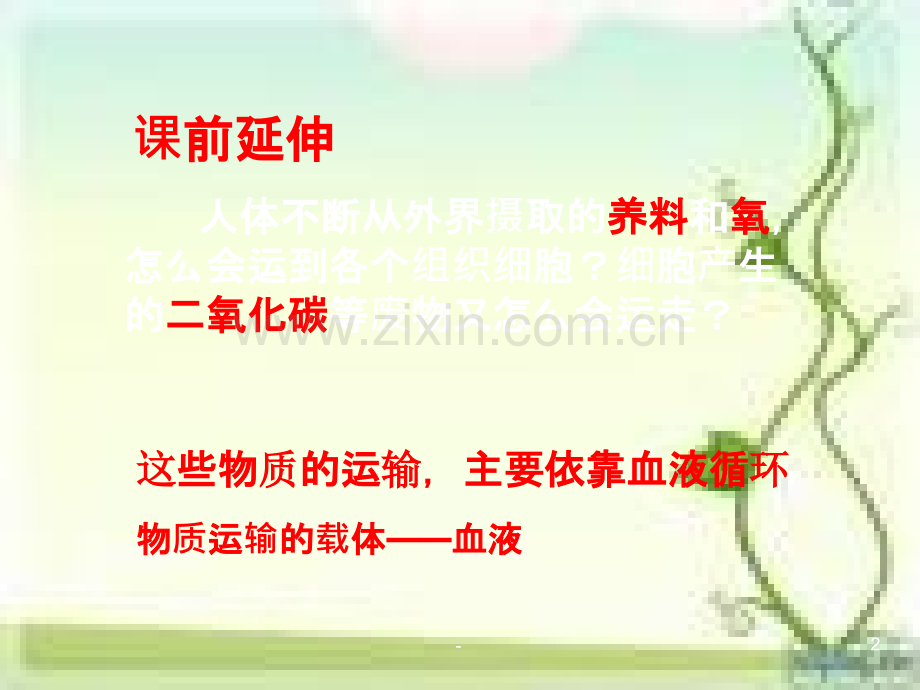 初中生物《物质运输的载体》.ppt_第2页