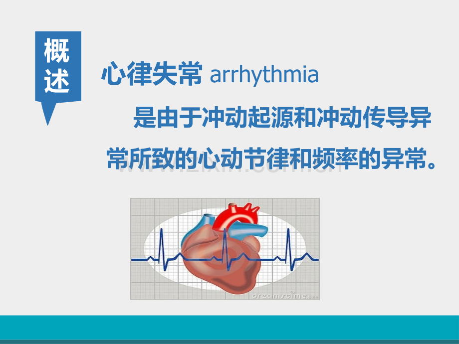 Ⅰb类抗心律失常作用类似奎尼丁.ppt_第2页