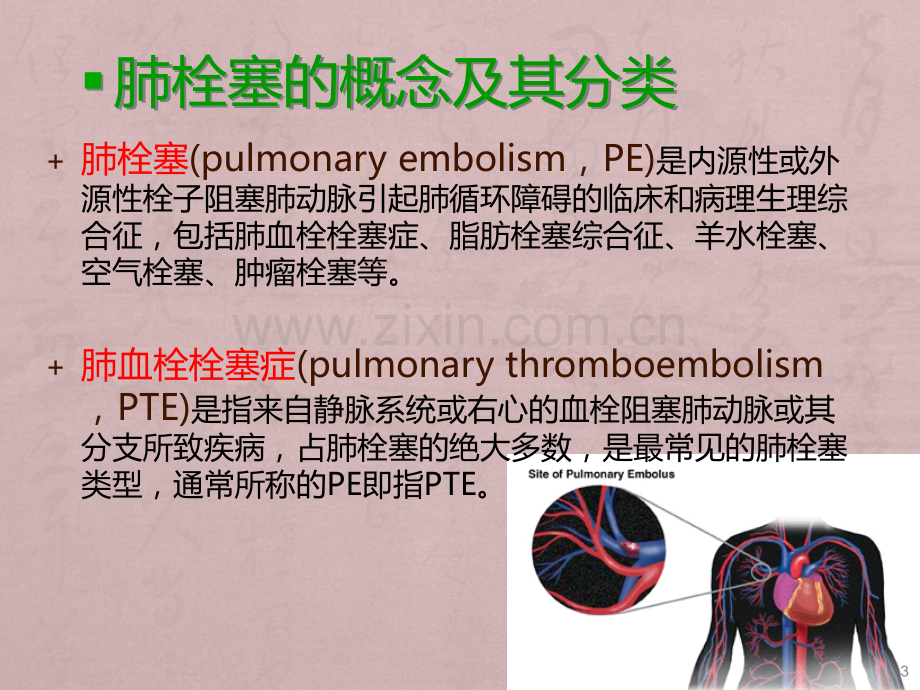 急性肺栓塞的诊断和治疗.ppt_第3页