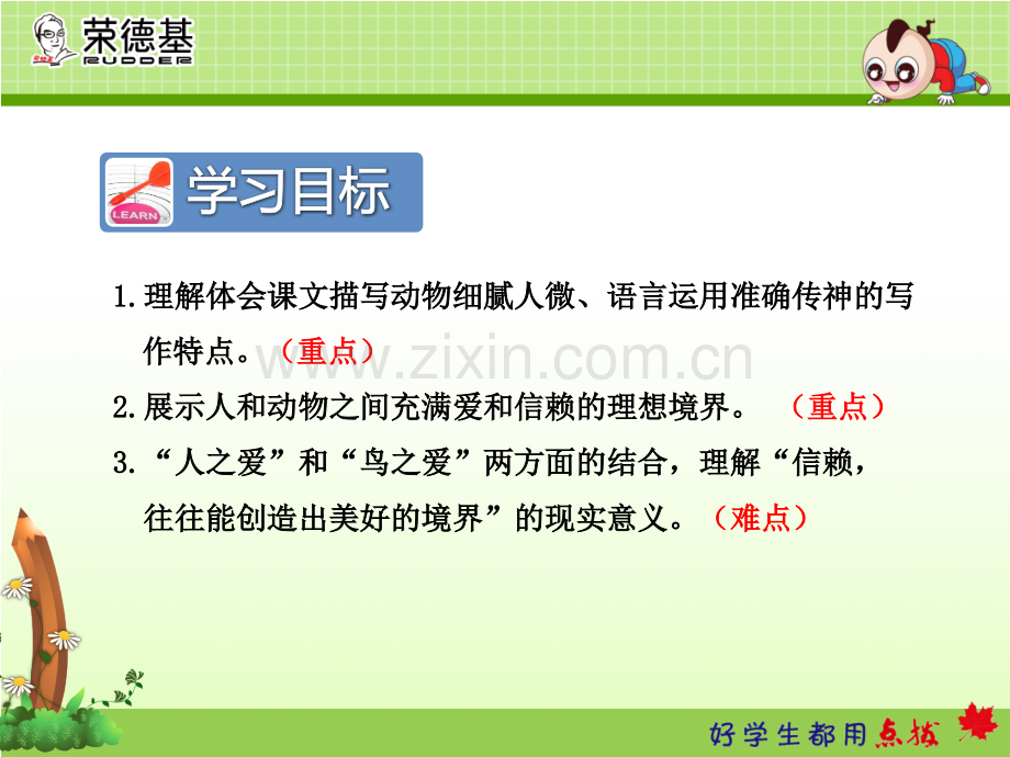 16.珍珠鸟-(1).ppt_第3页