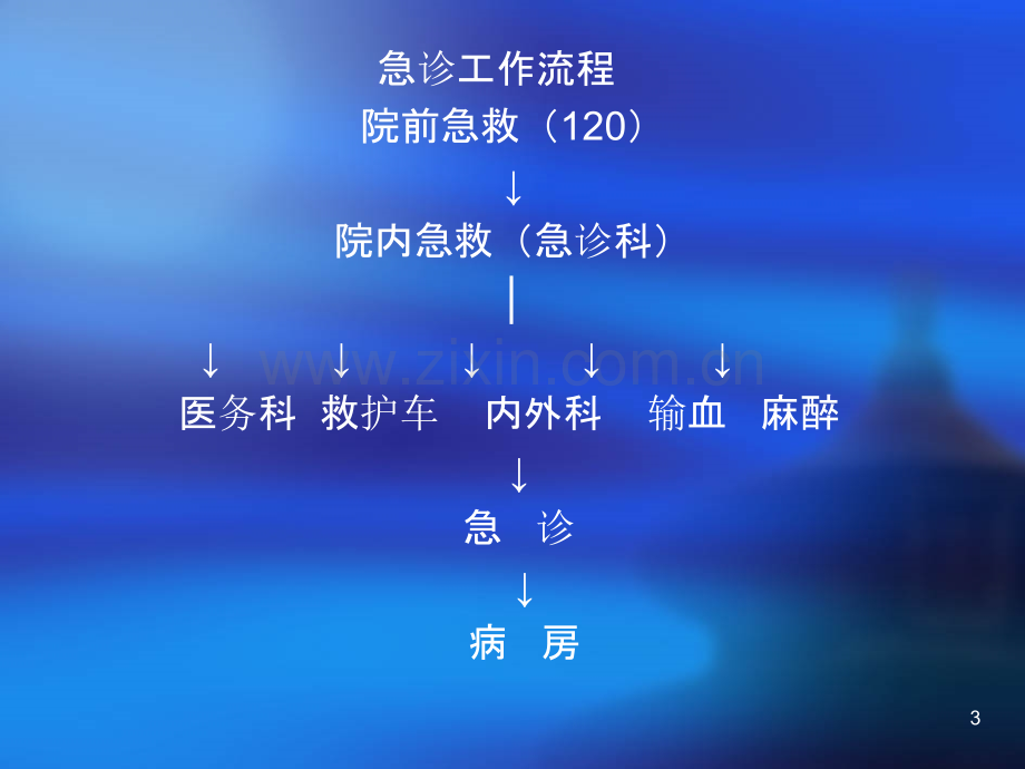 急诊室病案分析.ppt_第3页