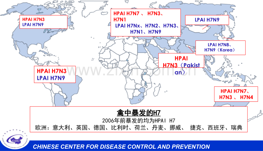 2019精选教育人感染H7N9禽流感病毒病原学特点及实验室检测.ppt.ppt_第2页