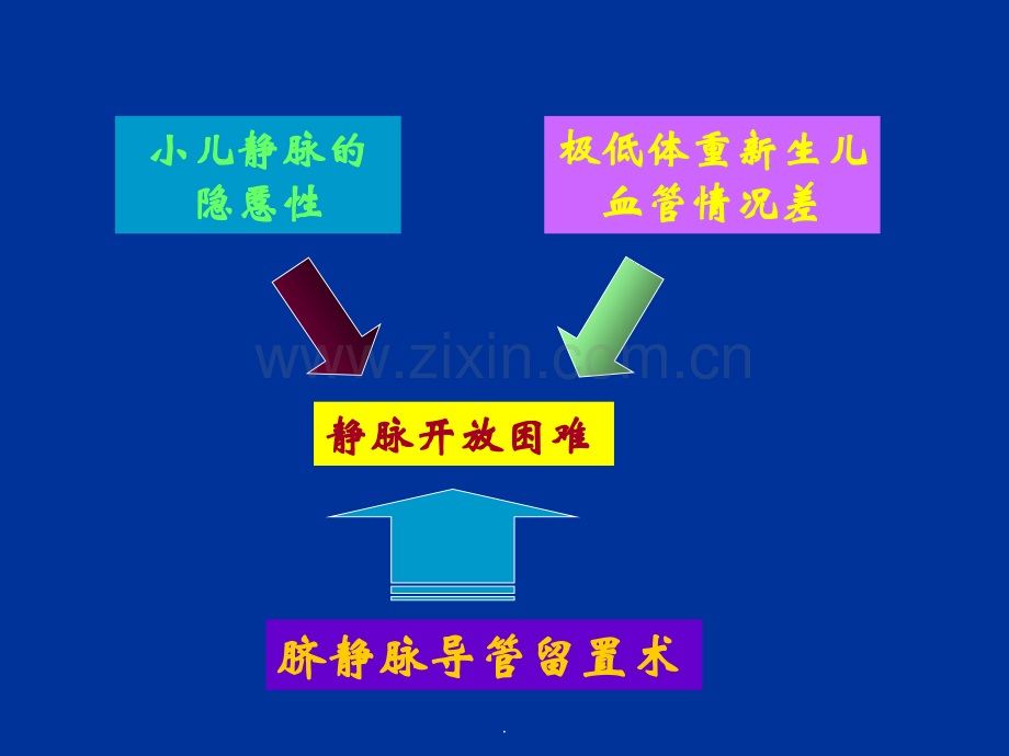 脐静脉插管留置术.ppt_第3页