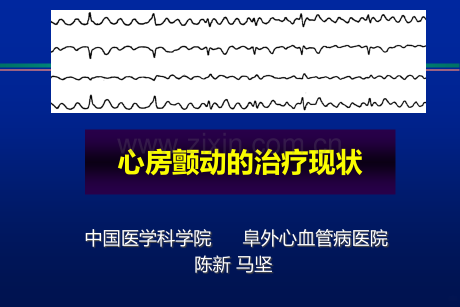 陈新心房颤动的治疗.ppt_第1页