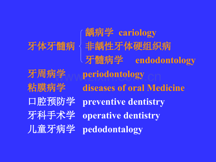 口腔牙体牙髓病学--第一章概述.ppt_第3页