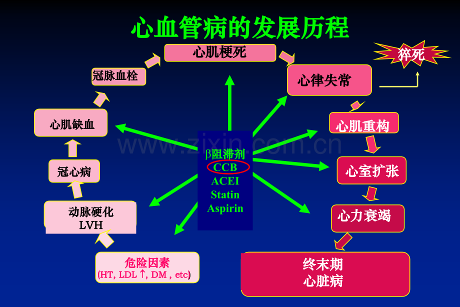 冠心病降压治疗的认识.ppt_第2页