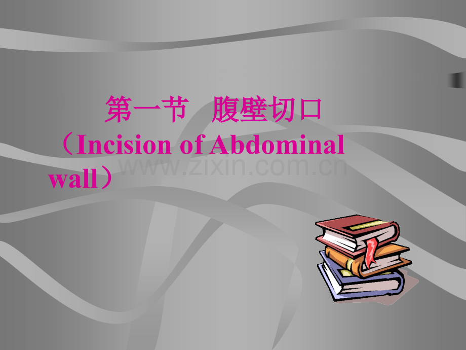 外科手术腹壁切口.ppt_第2页