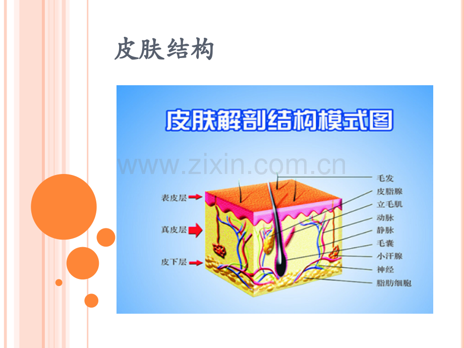 2018压疮护理措施.ppt_第3页