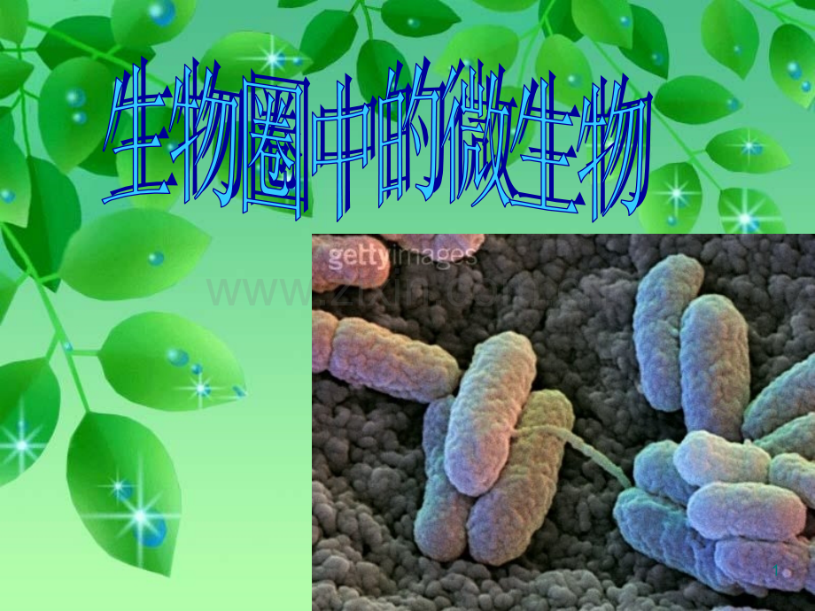 微生物(病毒、细菌、真菌).ppt_第1页