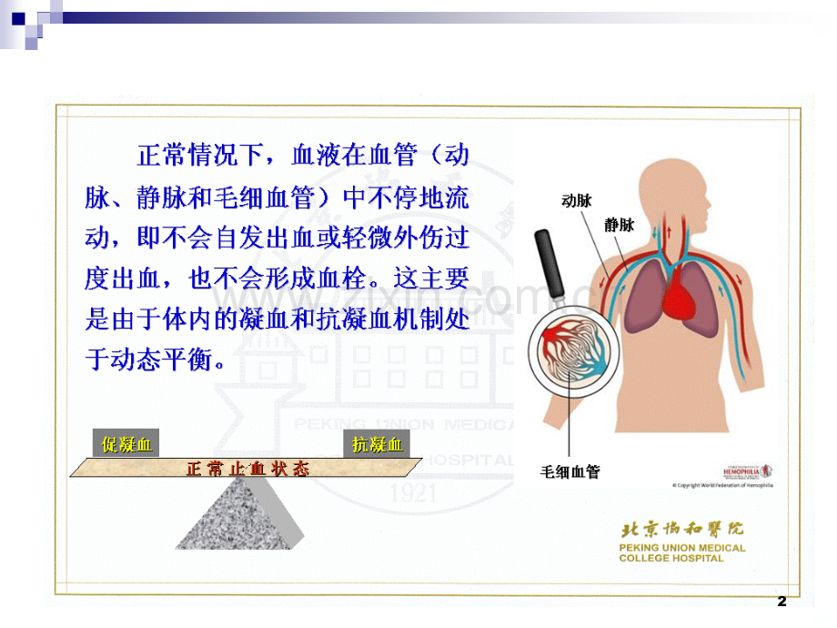 常用出凝血指标的临床意义.ppt_第2页