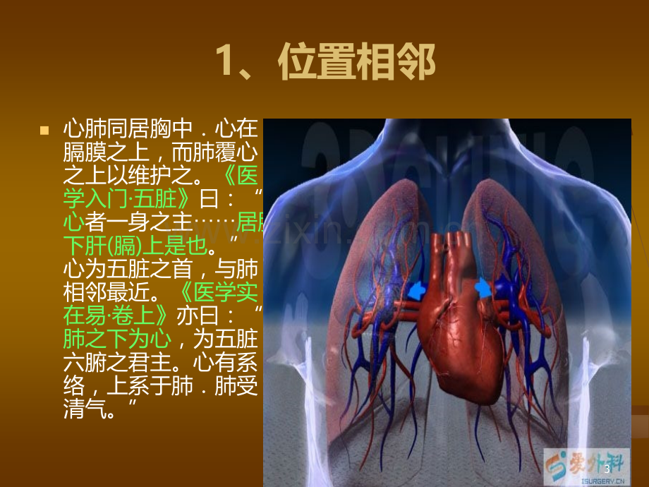 心与肺的关系探讨.ppt_第3页