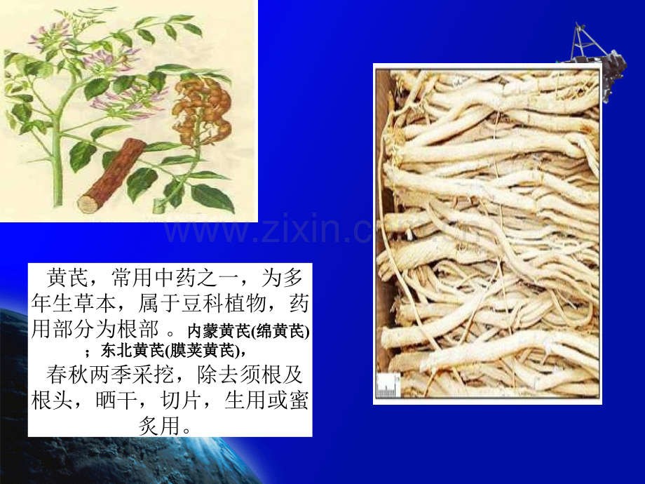 黄芪的临床应用.ppt_第2页