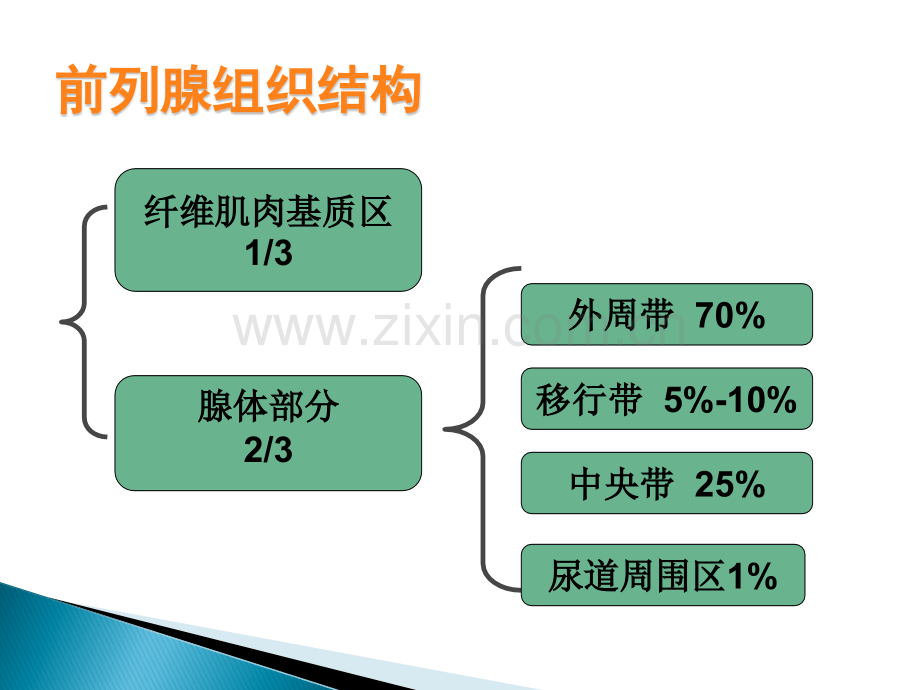 磁共振前列腺癌演示课件.ppt_第3页