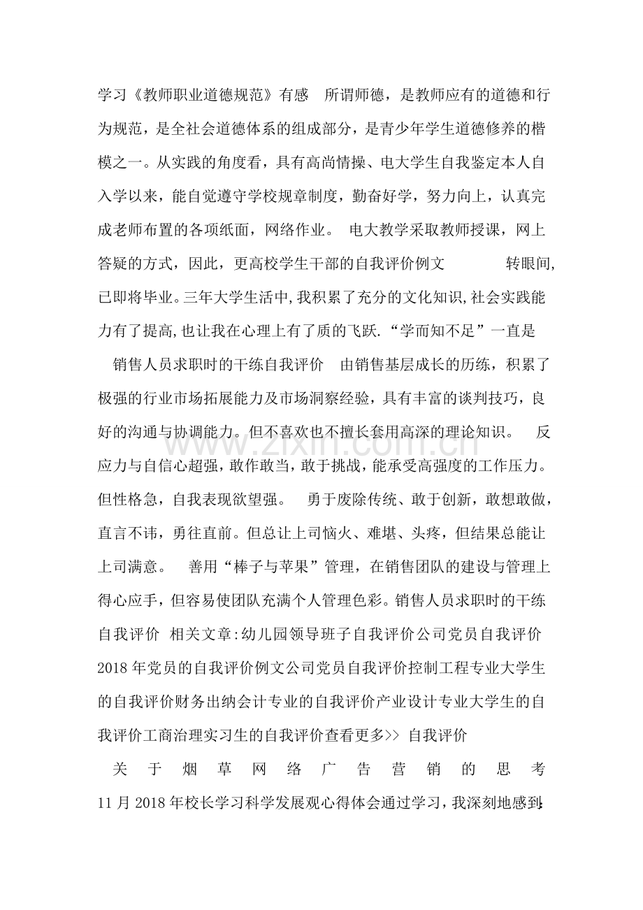 销售人员求职时的干练自我评价-14.doc_第2页