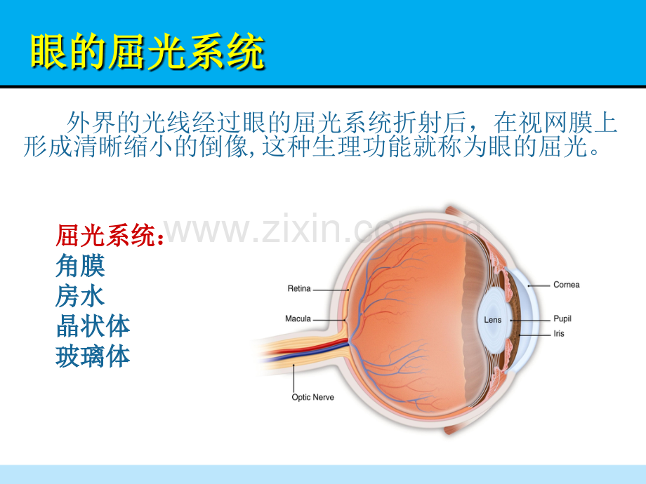 屈光不正演示课件.ppt_第2页