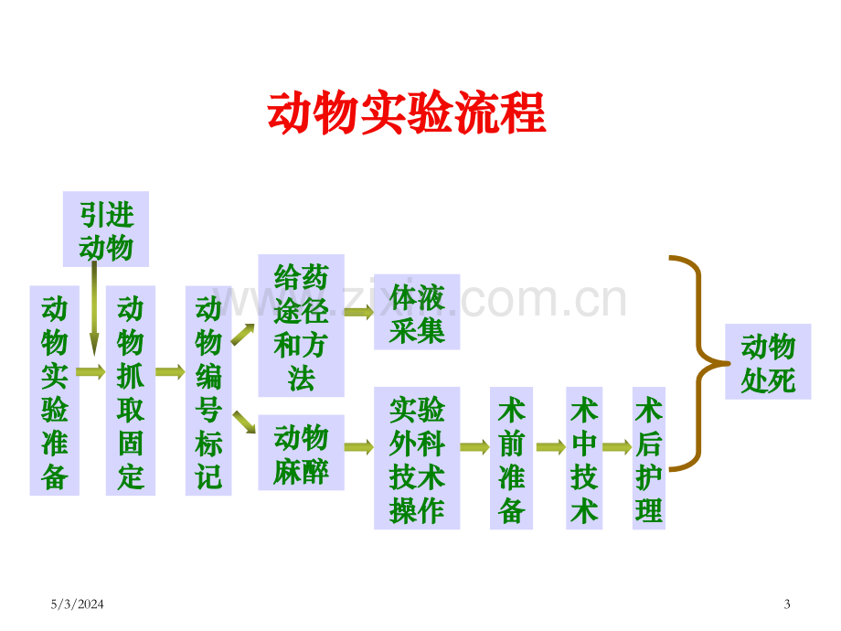 动物实验基本操作技术.ppt_第3页