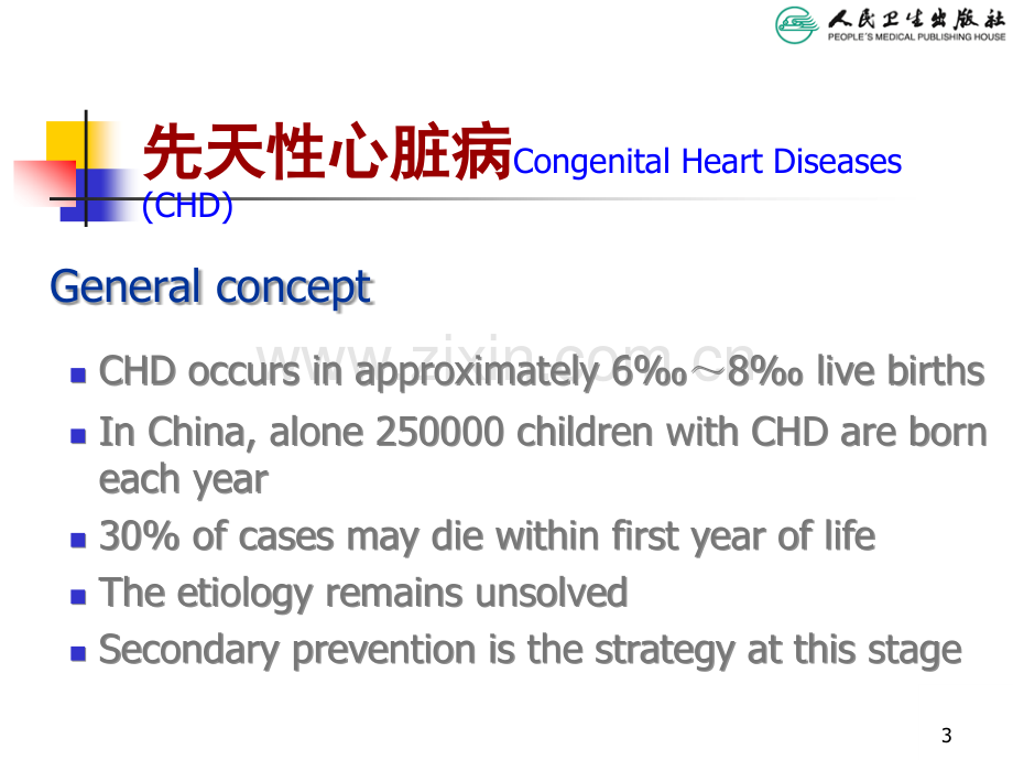 心血管系统-(1).ppt_第3页