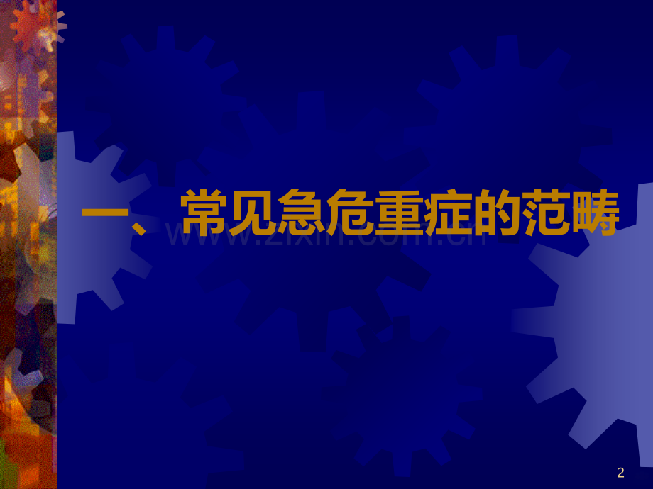 急危重症的快速识别要点与处理技巧.ppt_第2页