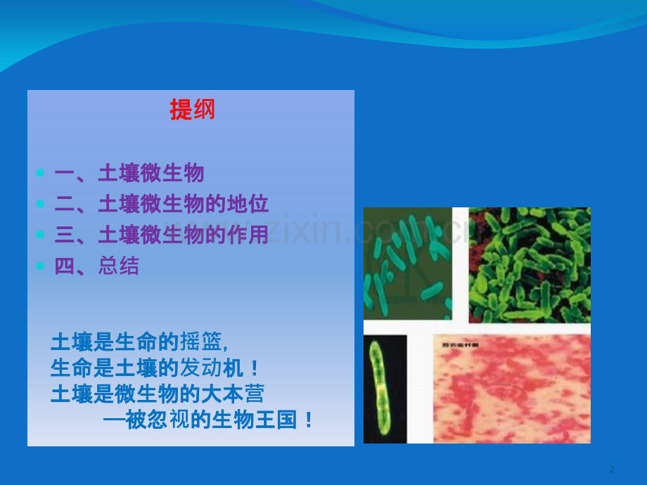 土壤微生物的地位和作用.ppt_第2页