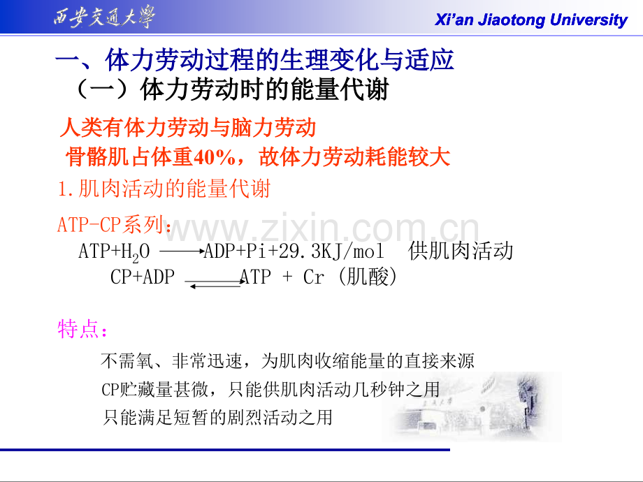 劳动卫生学.ppt_第3页