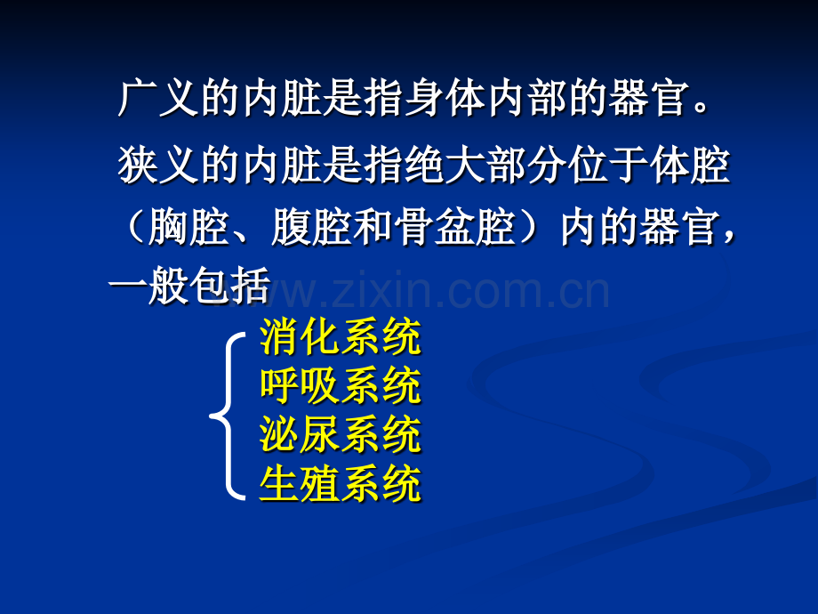 动物解剖学消化系统.ppt_第2页