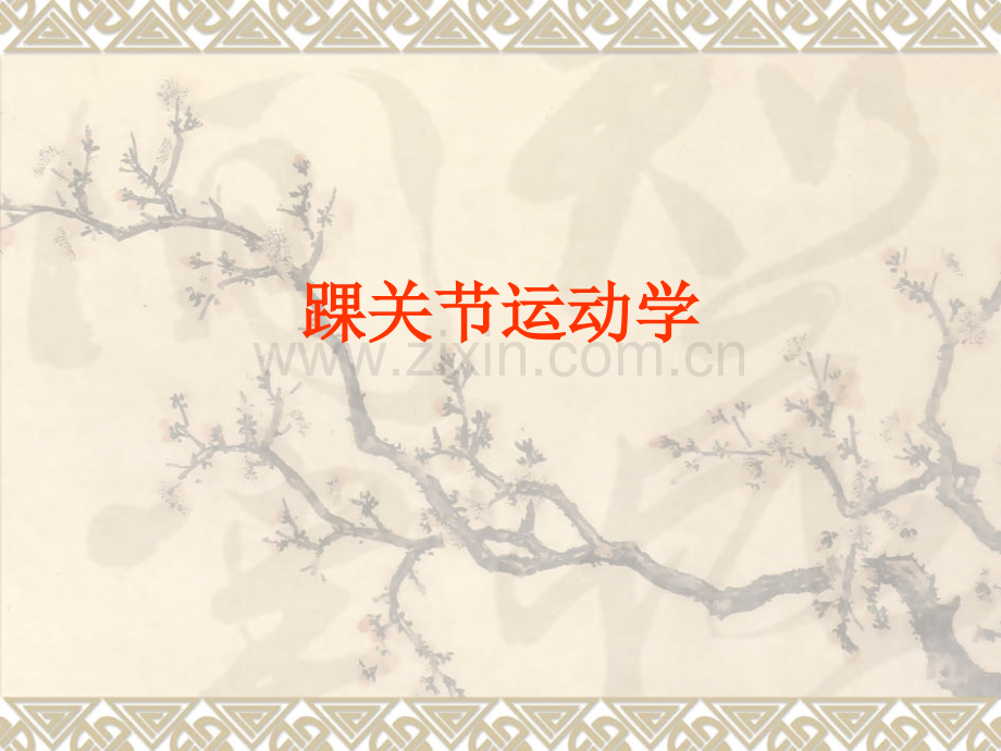 踝关节运动学.ppt_第1页