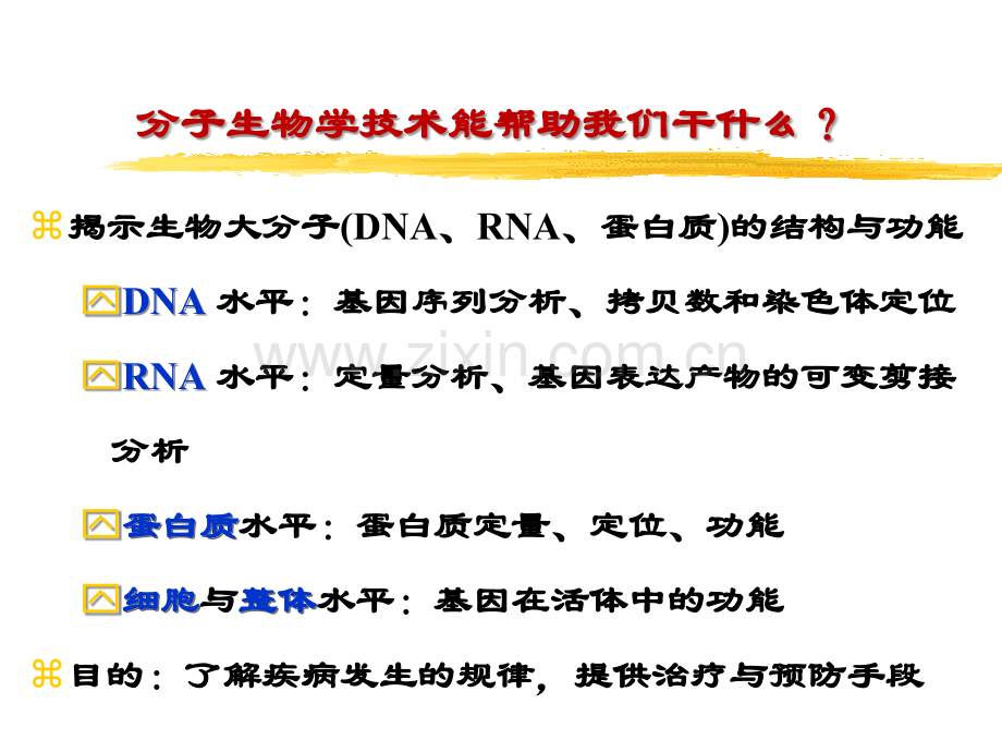 分子生物学常用技术(简化版).ppt_第3页