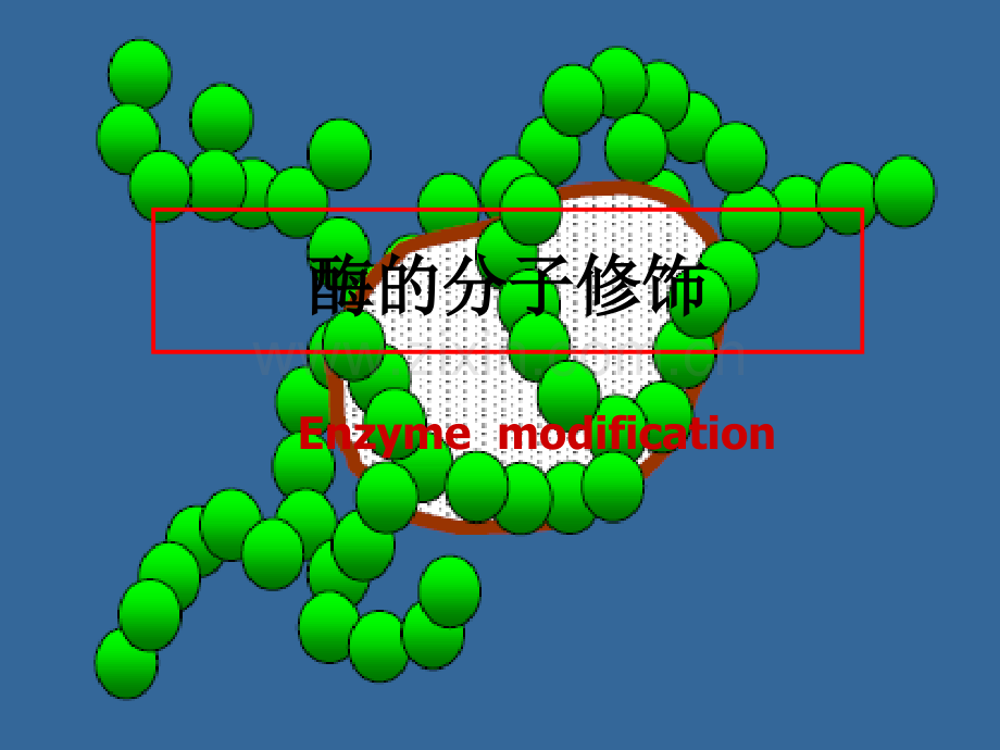 2019精选医学酶的分子修饰background.ppt.ppt_第1页