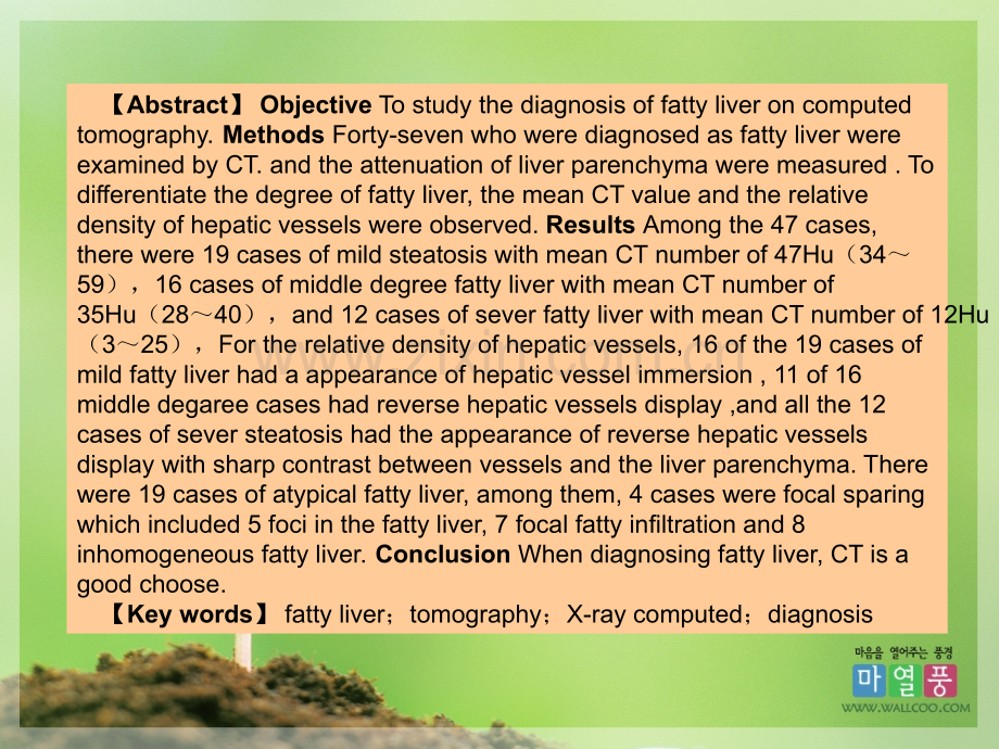 脂肪肝的诊断.ppt_第3页
