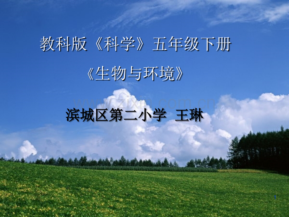 五年级科学——生物与环境.ppt_第1页