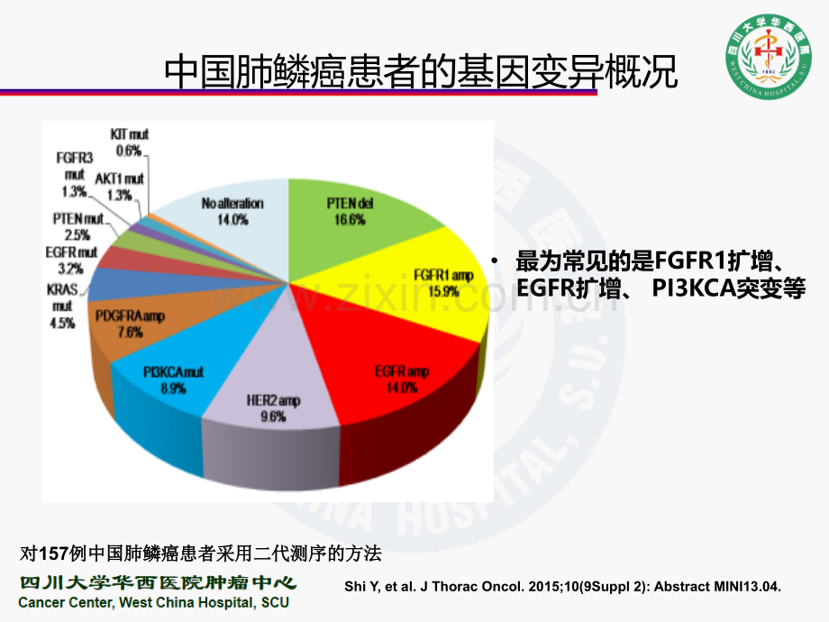 晚期肺鳞癌的靶向治疗演示课件.ppt_第3页