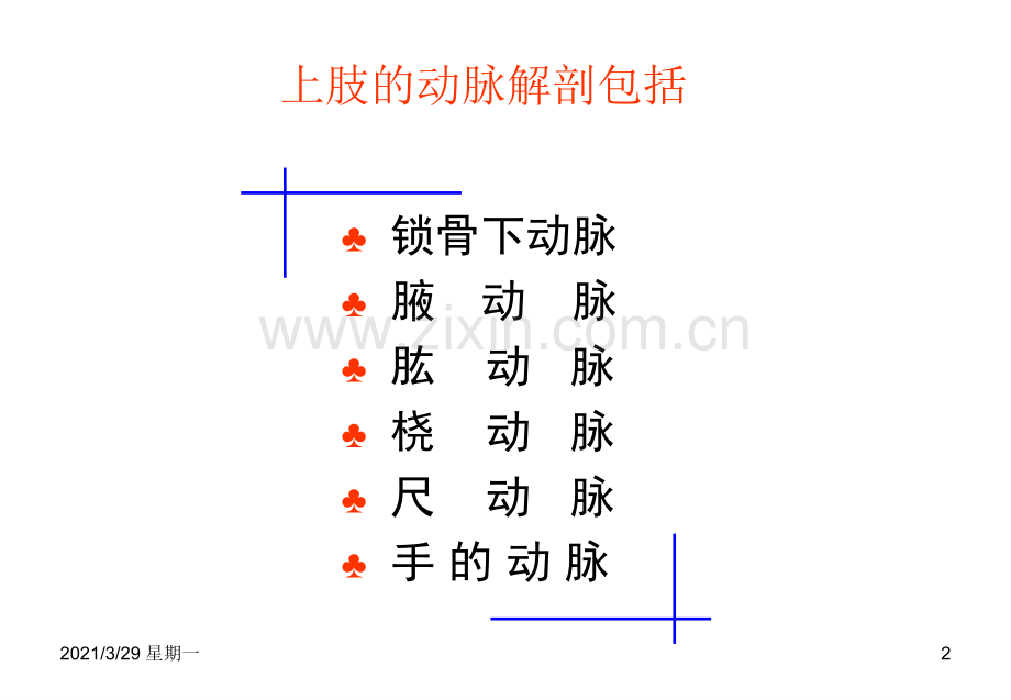 上、下肢动脉的应用解剖.ppt_第2页