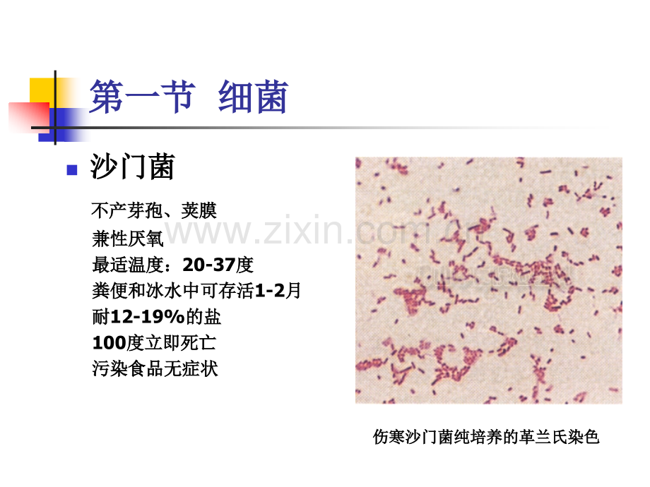 生物性食品安全危害.ppt_第3页