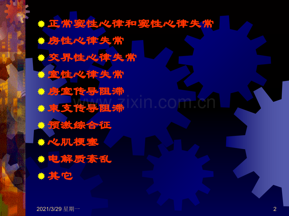 心电图诊断与分析..ppt_第2页