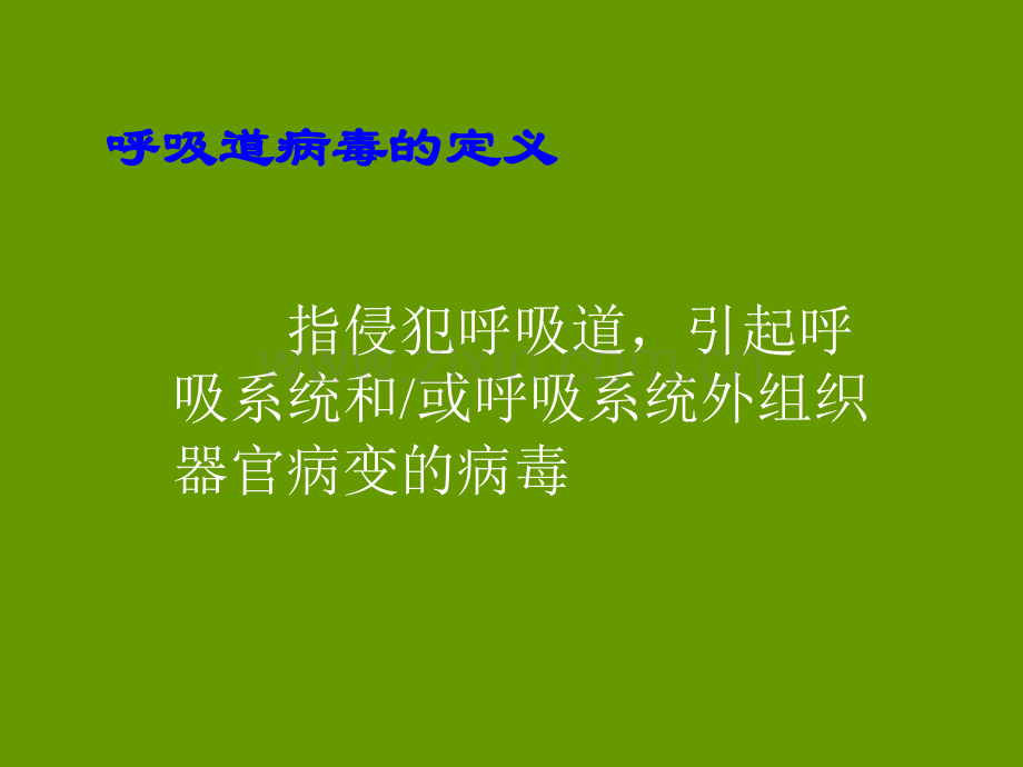 常见致病病毒.ppt_第3页