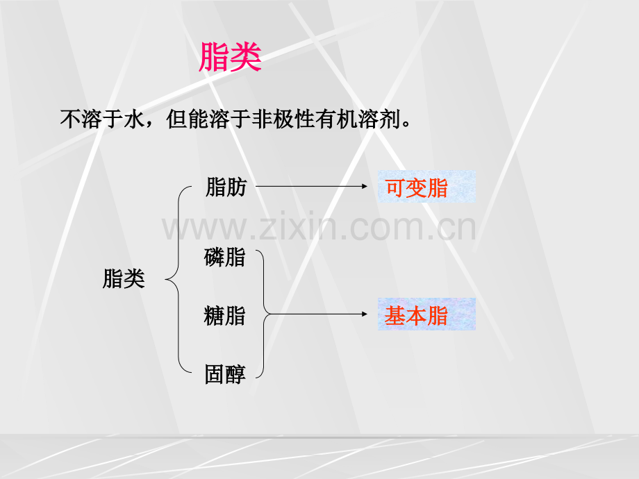 生物化学---第10章-脂类代谢.ppt_第2页