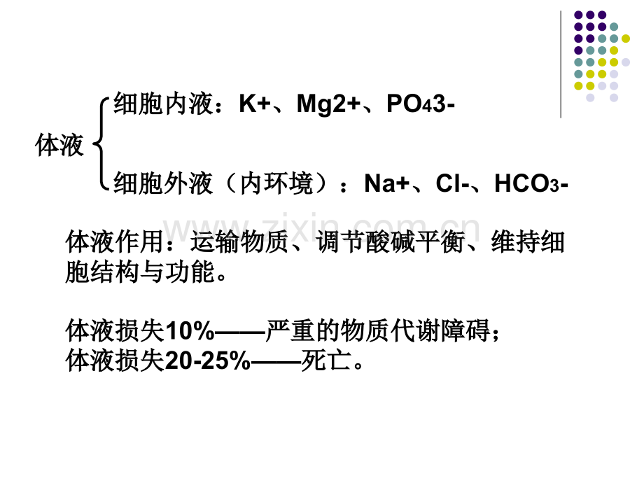 兽医药理学-9-调节新陈代谢的药物.ppt_第2页