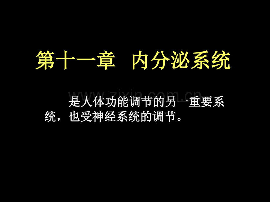 【源版】201811现代基础医学概论(第十一章--内分泌系统).ppt_第1页