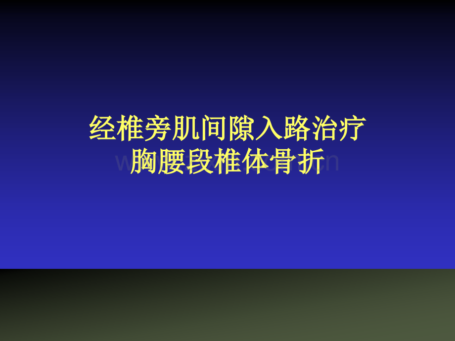 经椎旁肌入路.ppt_第1页