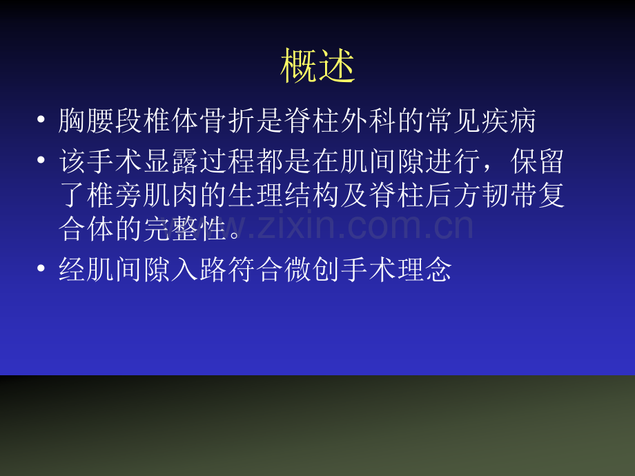 经椎旁肌入路.ppt_第2页