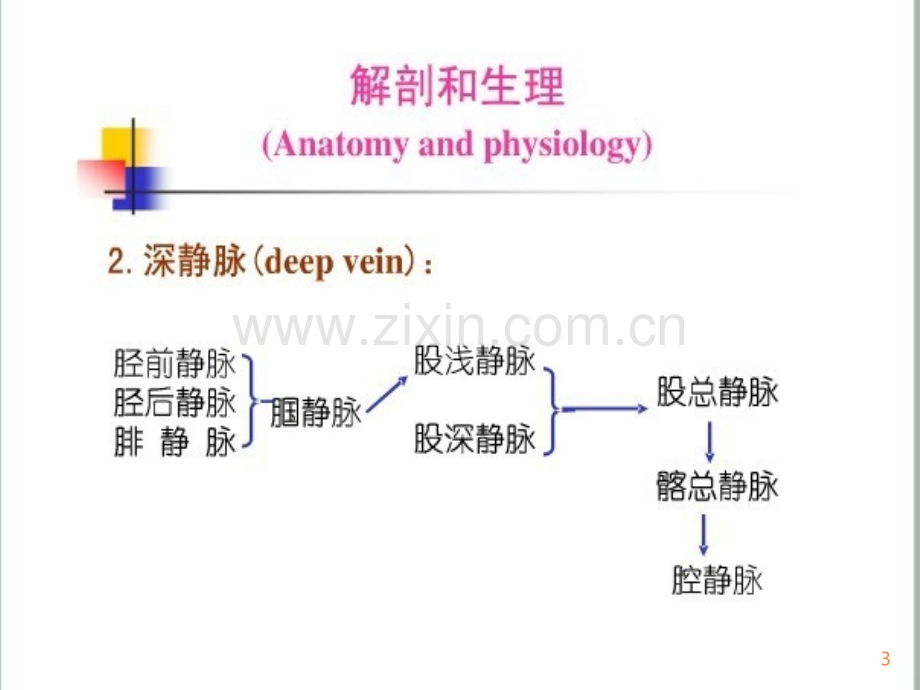 大隐静脉曲张病人护理(1).ppt_第3页