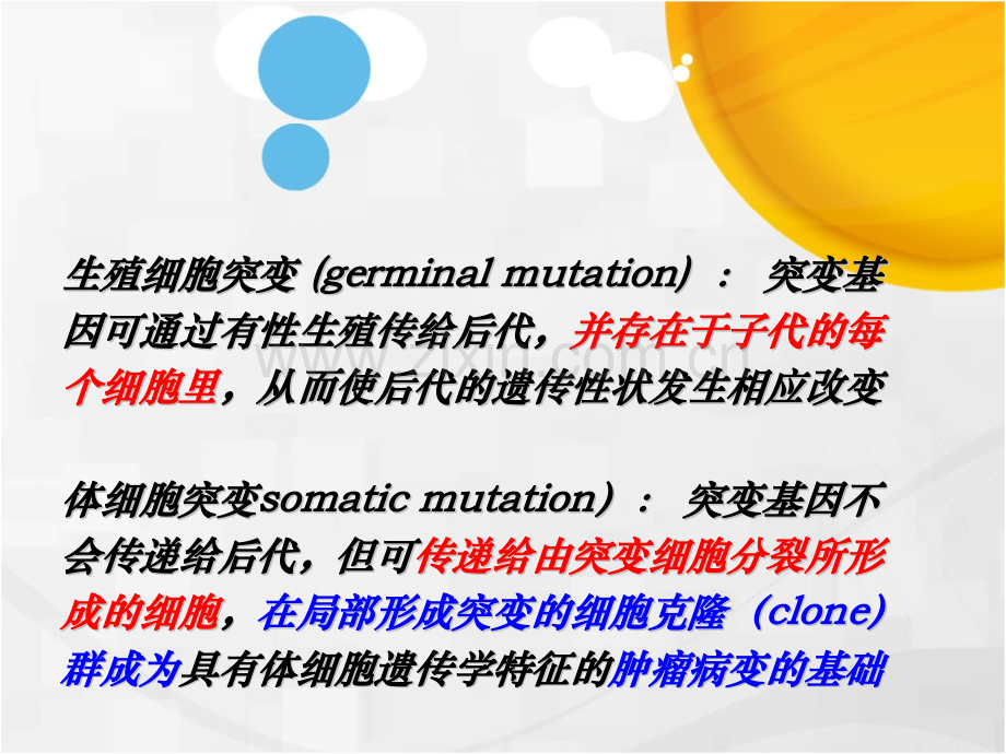 医学遗传学——基因突变.pptx_第3页