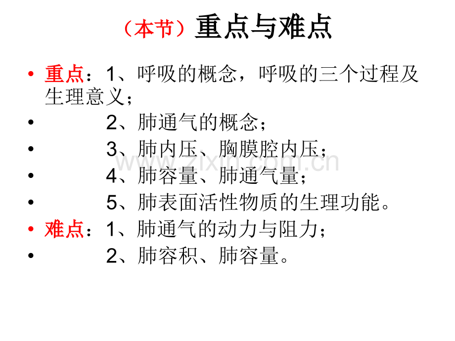 呼吸肺通气.ppt_第3页