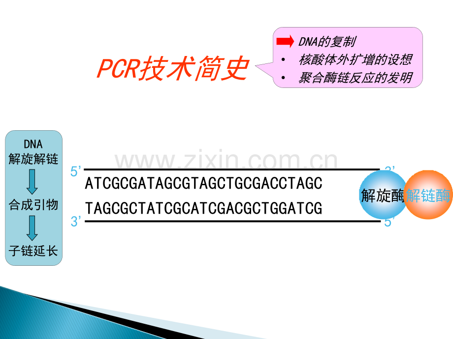 生物检测PCR技术.ppt_第3页